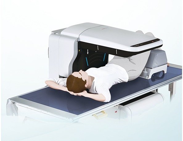 骨密度検査(DEXA)